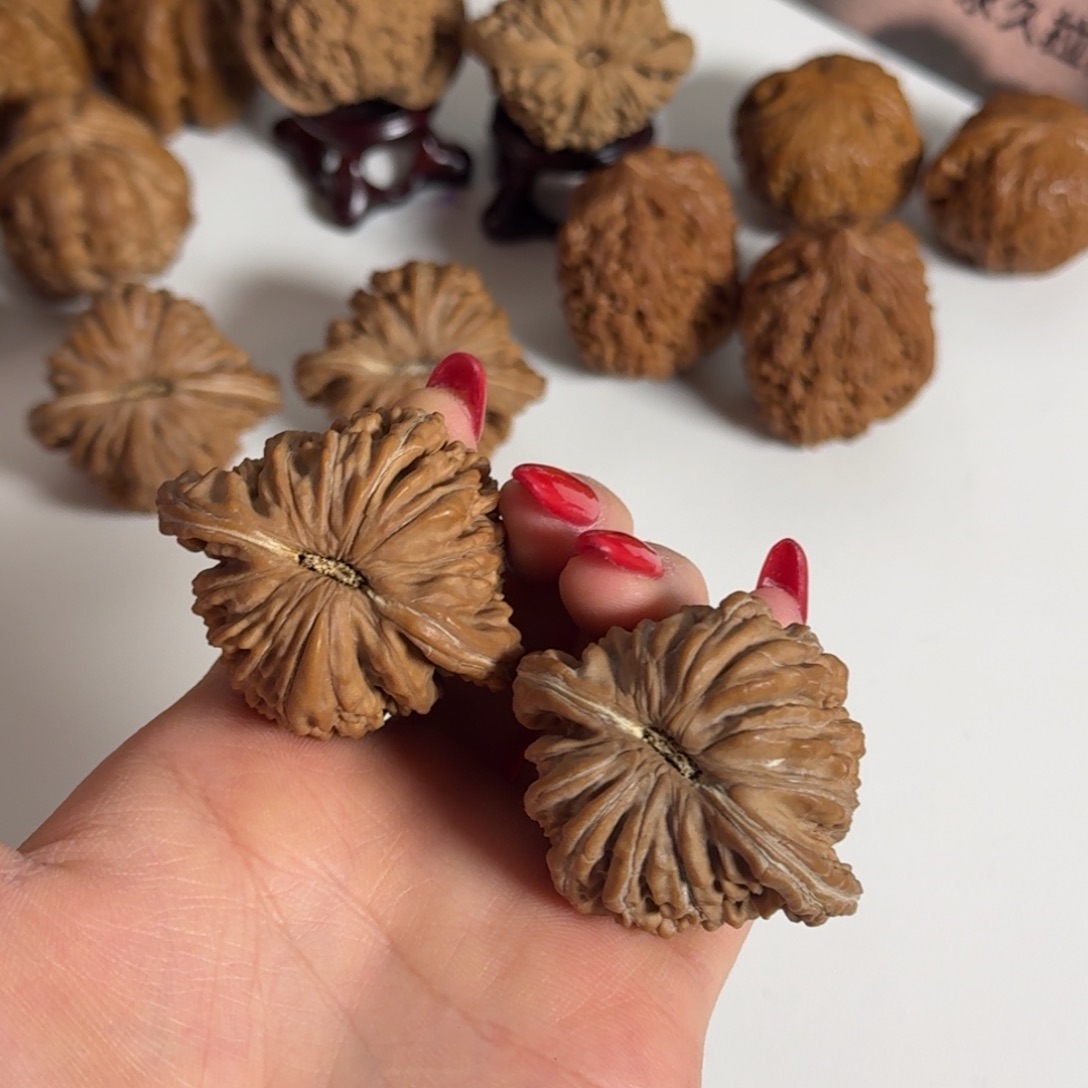 全品46红皮四座楼15