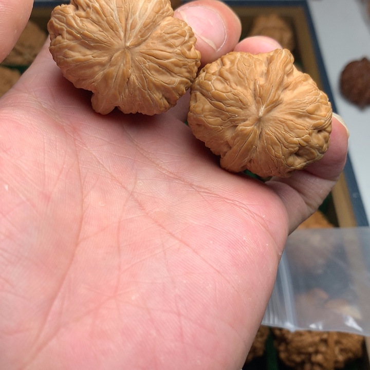 核桃把件39全品元宝