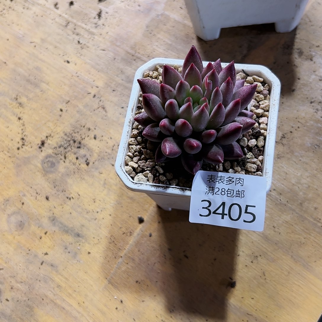 9号?***?我们的确是一3405