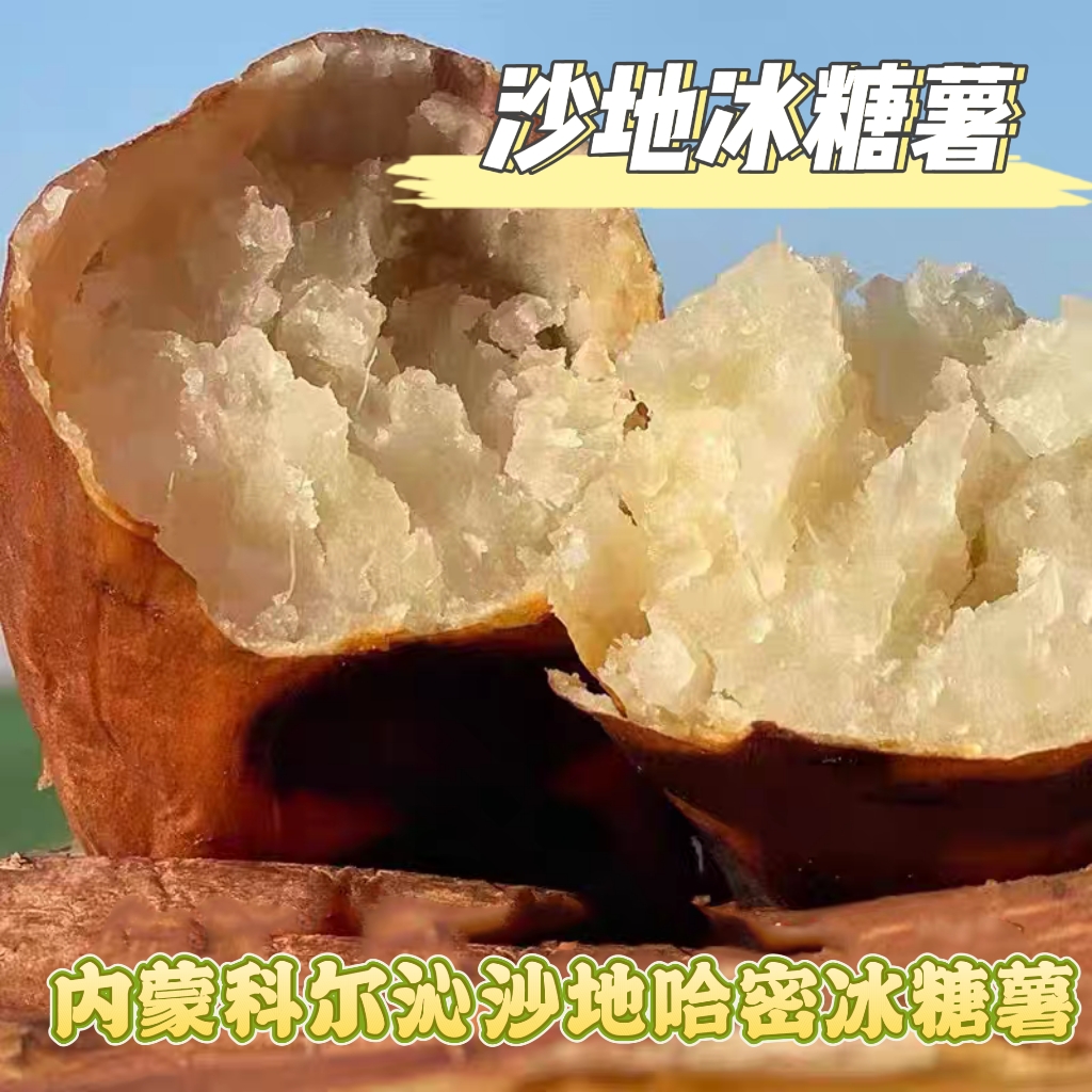 内蒙科尔沁沙地新鲜现挖哈密冰糖心白薯/粉糯甘甜瓤白如玉