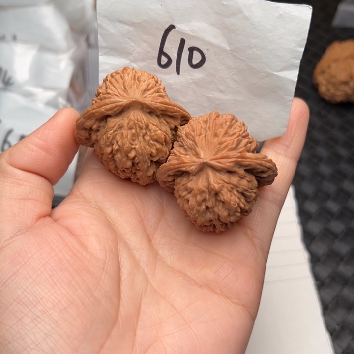 核桃41+尺寸四座楼福利款核桃