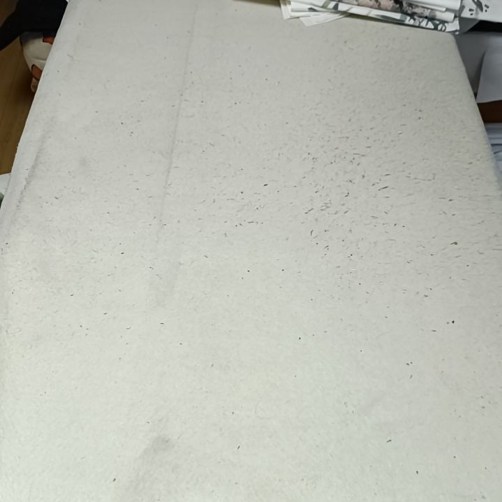 国画S****8国画花鸟花鸟国画
