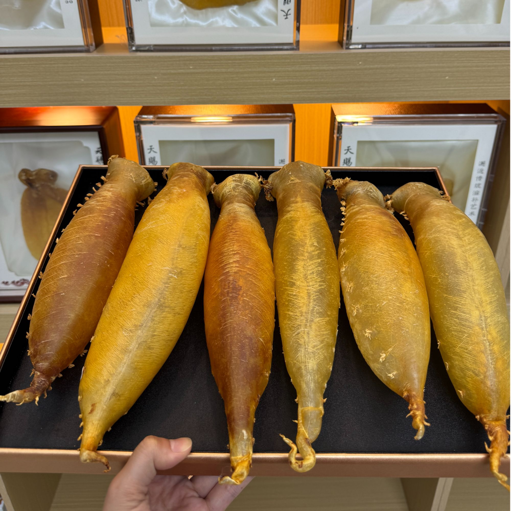 本港赤嘴公筒（直播称重改价）足干足老鱼胶无添加