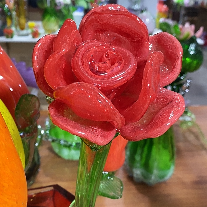 牡丹花高48厘米宽10厘米