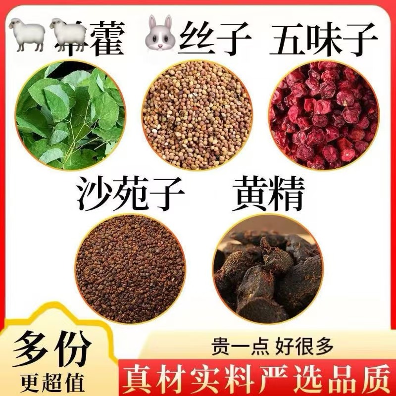 黄金五宝甄选洋货吐丝沙苑子五味子黄精独立小包装真材实料