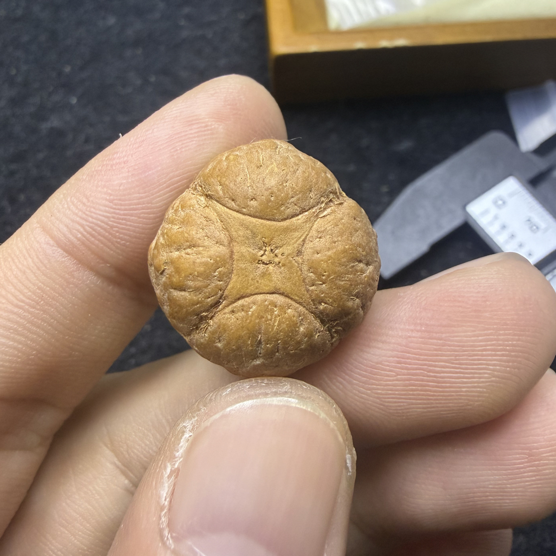 22.3mm麒麟眼25年新籽厚14.2mm三通非质量问题开孔不退不换