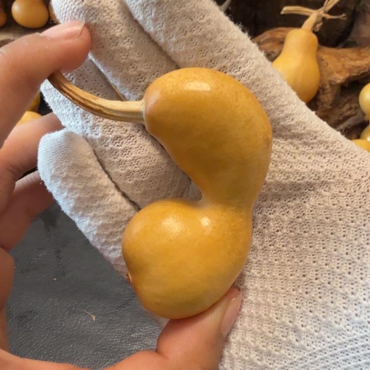 好***云微瑕6666666666666