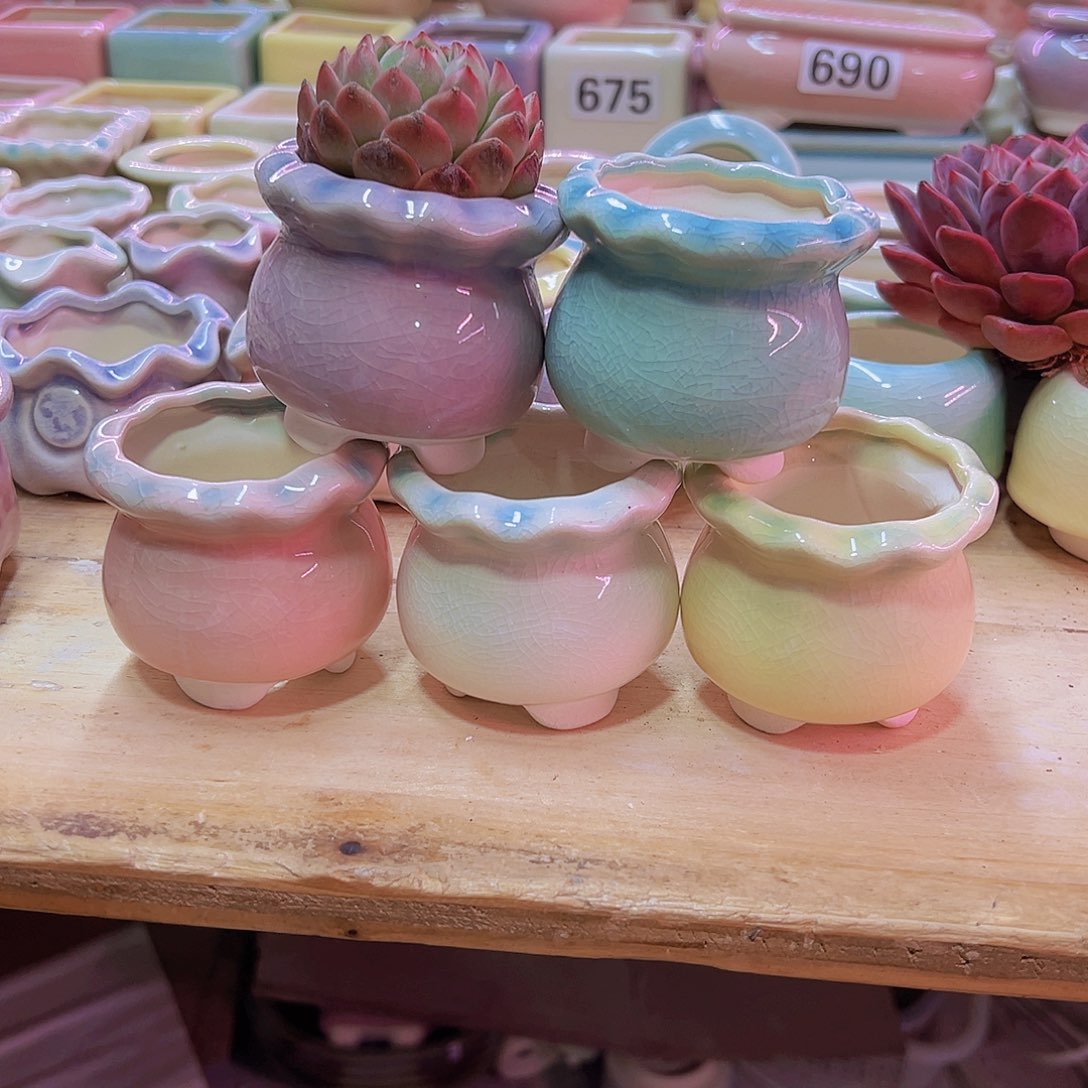 陶瓷花盆当场凑满12包邮