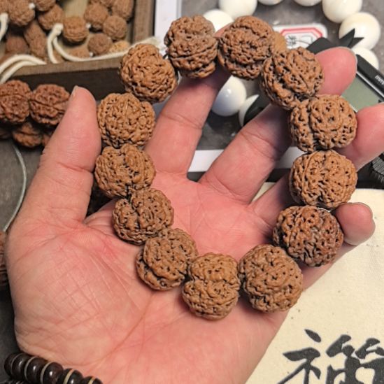 手串金刚菩提五星梅花大金刚手串，24左右，原皮原色