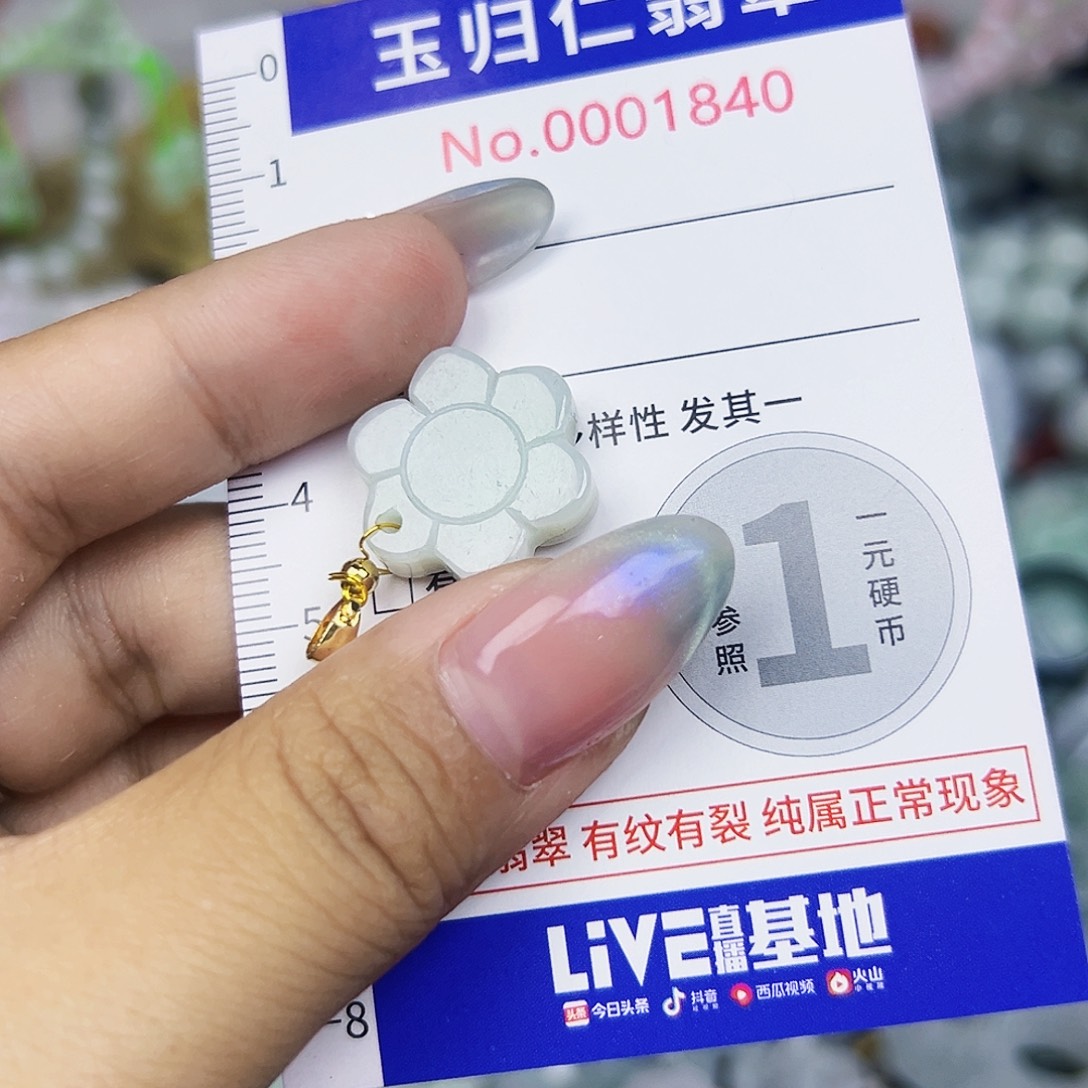 翡翠未镶嵌颈饰111