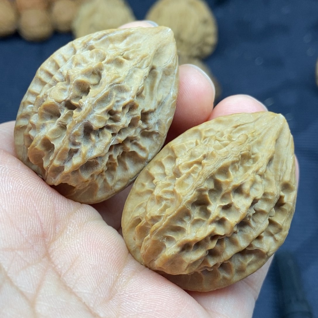 文玩核桃把件野生凤凰羽鸡心32尺寸