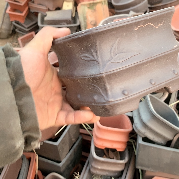 紫砂优秀青年科技人才创新