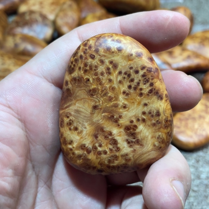 柏木（崖柏）其他把