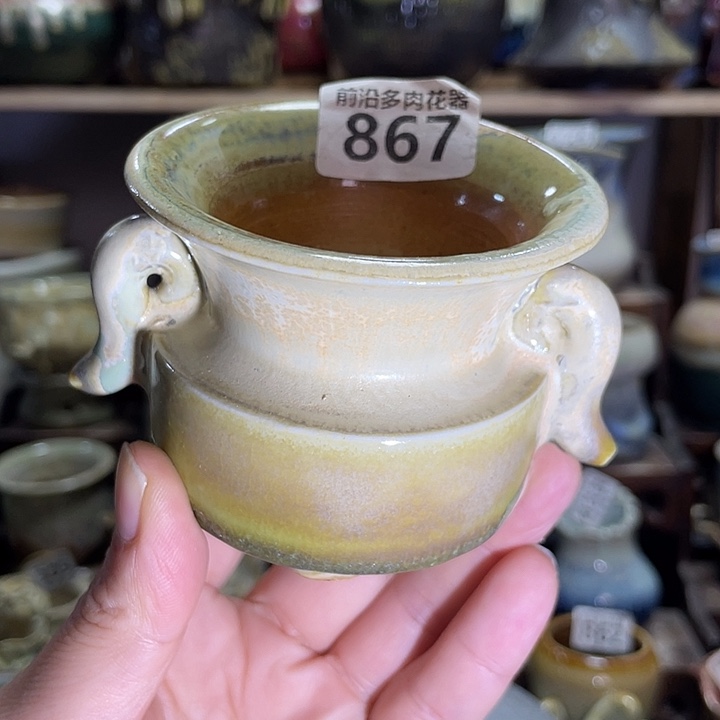 狼盆内口径7高度6