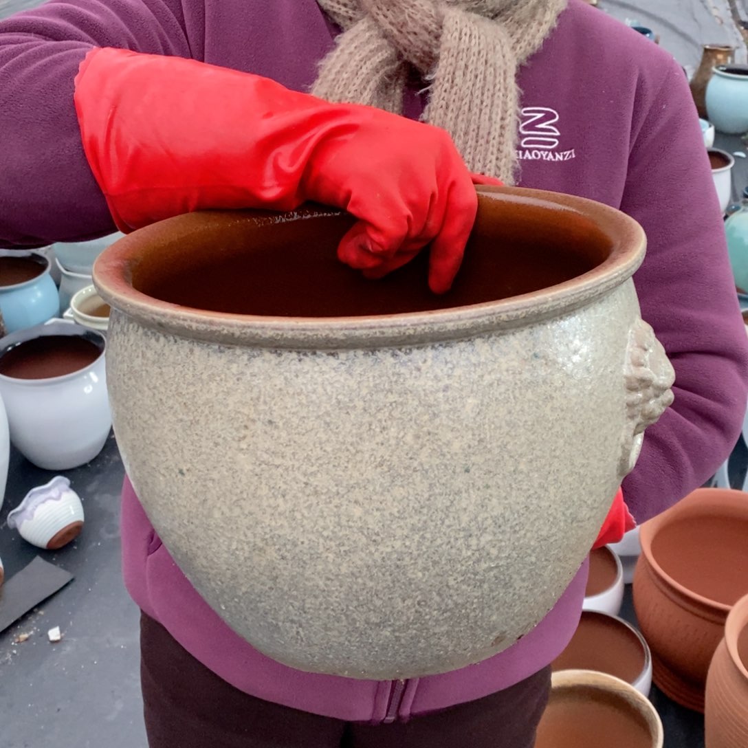 红陶口28高22水培