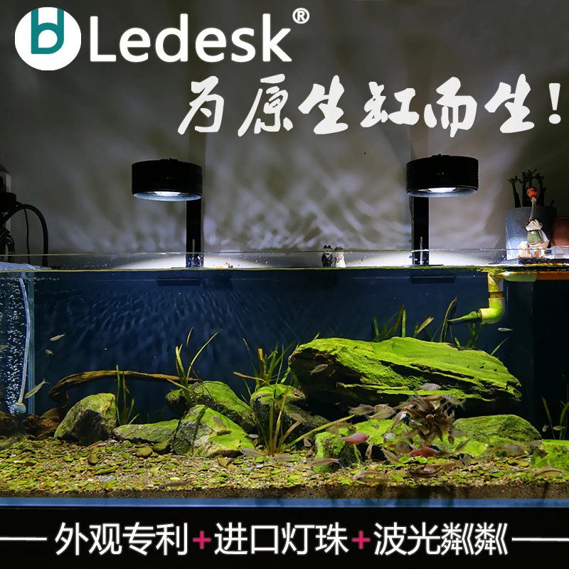 乐迪LED原生鱼缸照明灯全光谱爆藻灯金鱼绿藻灯三湖鱼缸显色定时