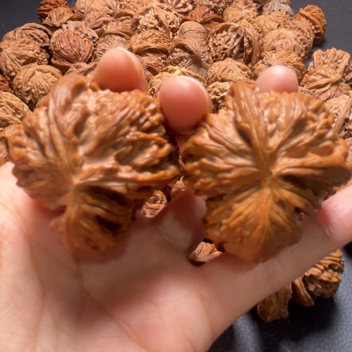 白狮子两棱挂角43尺寸核桃哈哈哈哈哈
