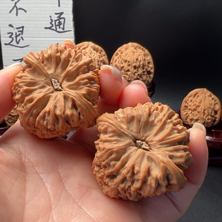 用****84号大三角炮大凹底