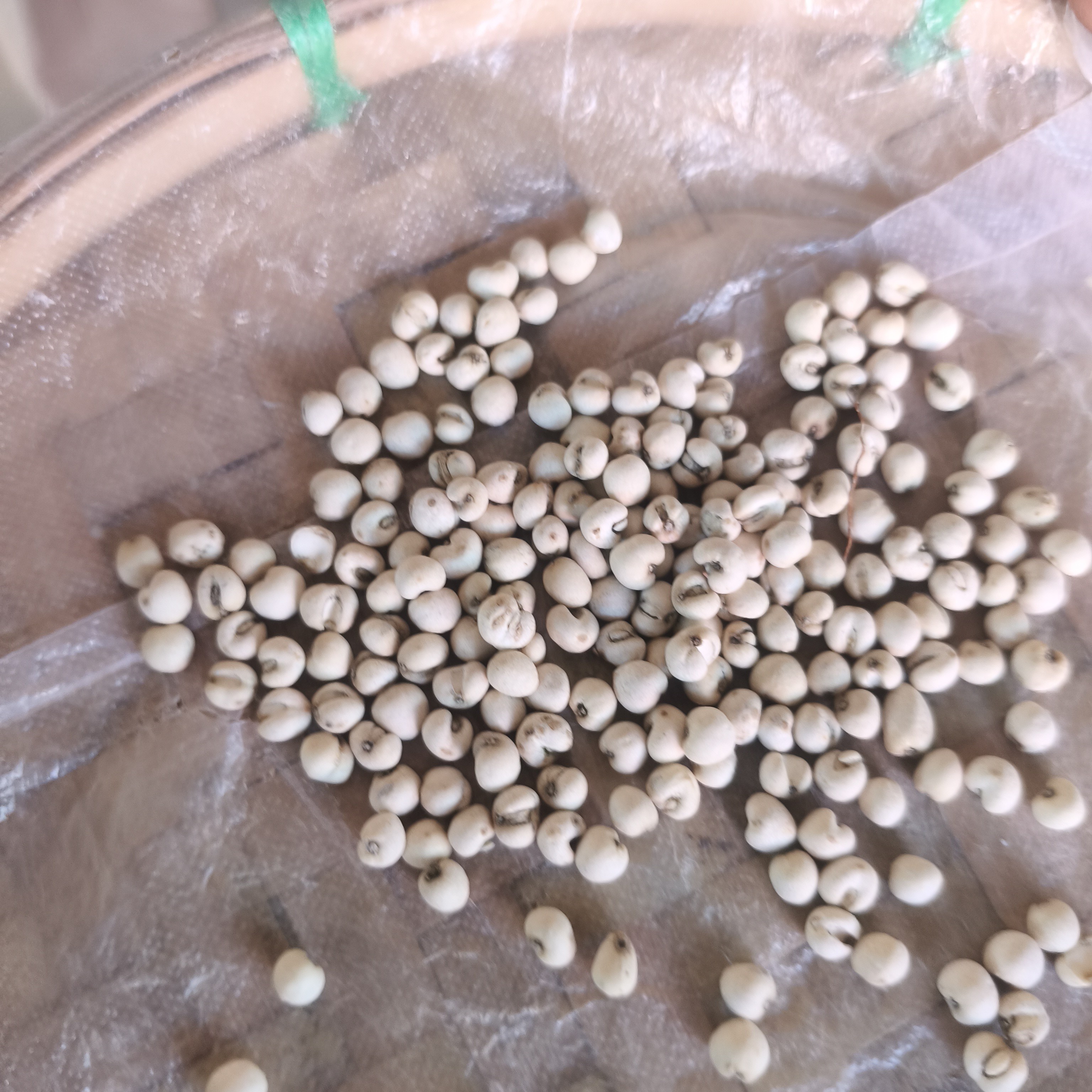 【小飞山货】云南中缅边境农家  川贝