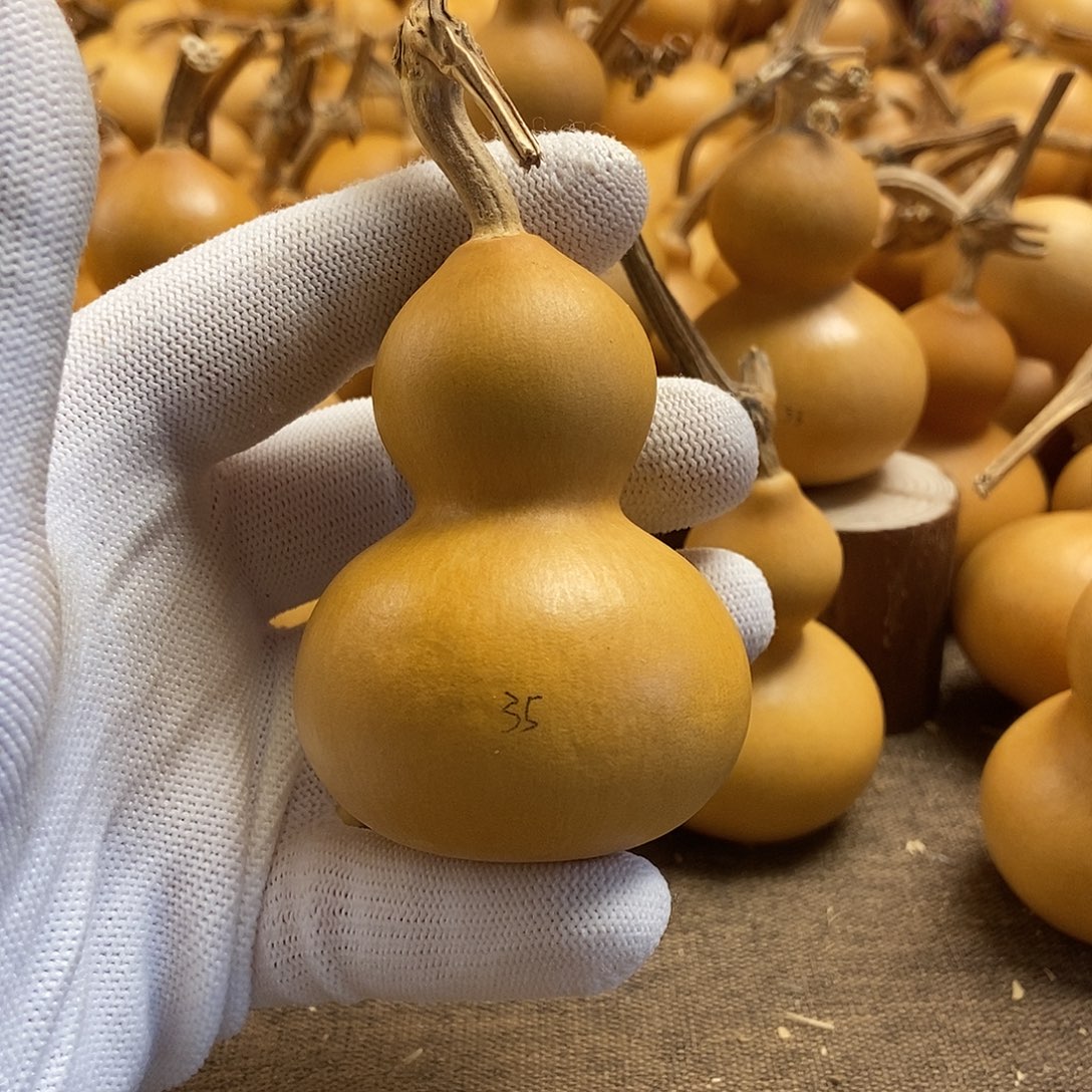 文玩葫芦 完美主义者 慎拍35