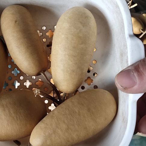 闻***衔天然葫芦5个冬瓜葫芦