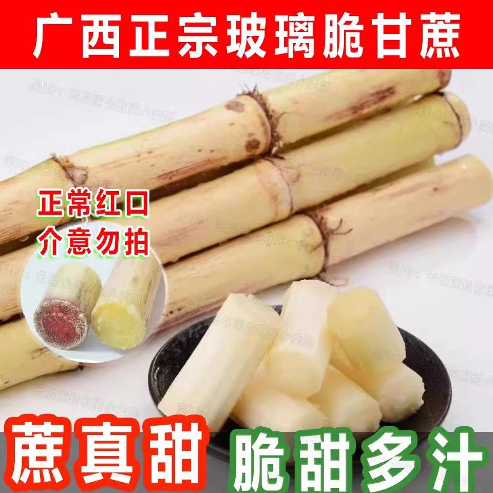广西木格白玉甘蔗 应季水果皮薄脆甜