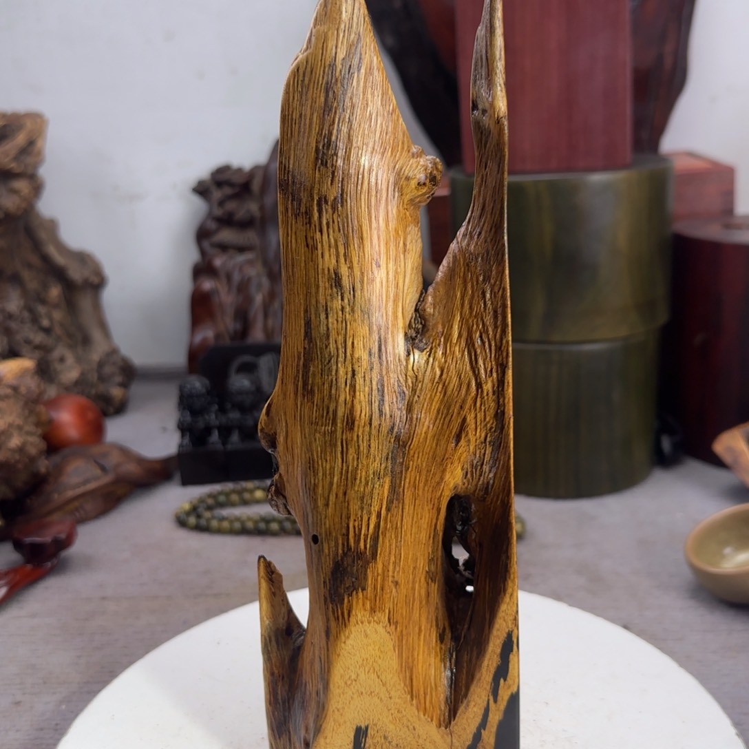 大果紫檀（缅甸花梨）秋*⋯