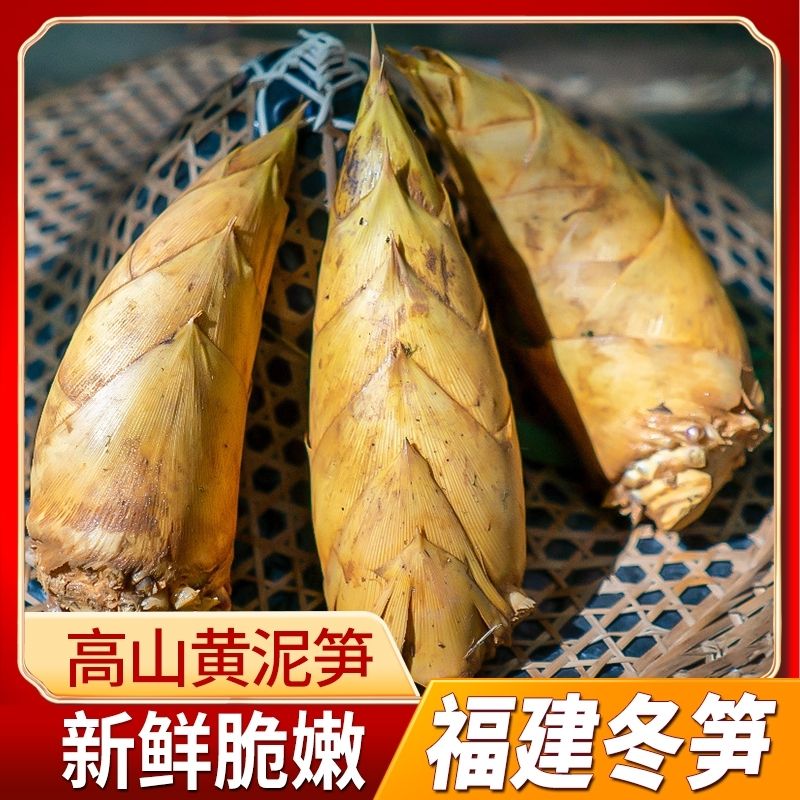 【明良】福建冬笋3斤/5斤（单果中号3-5两 大号5-10两）