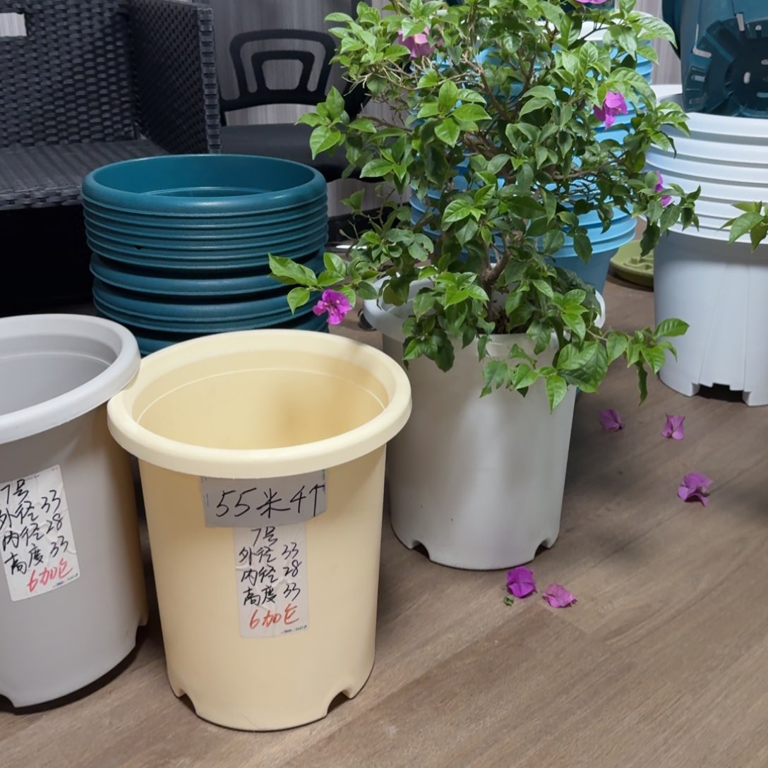 微瑕纯白7号无拖口径33高33发6个