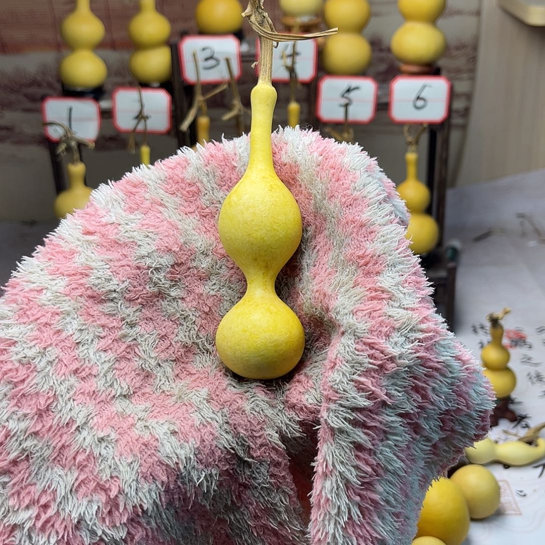 葫芦葫芦葫芦葫芦葫芦