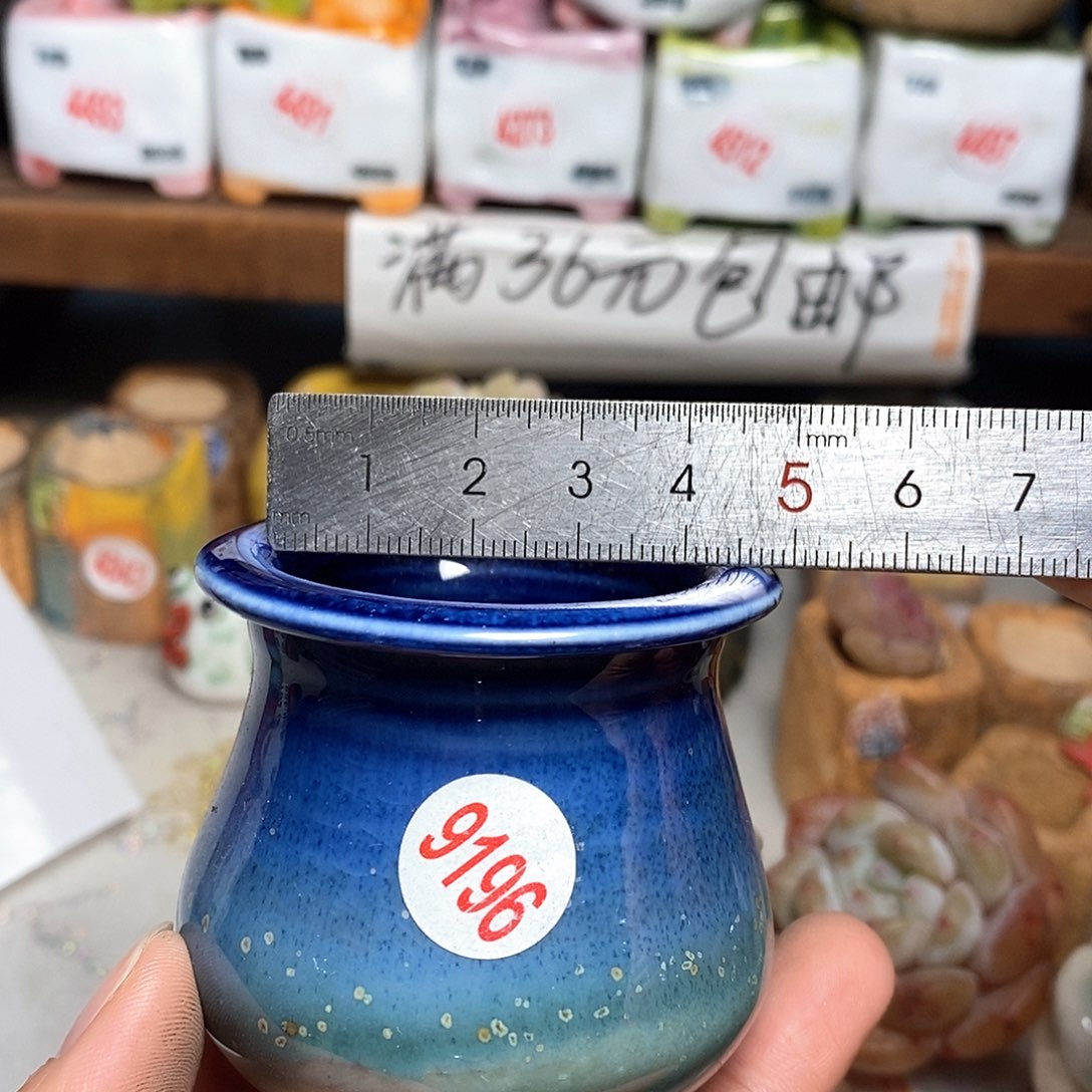 红陶拍5送一个小