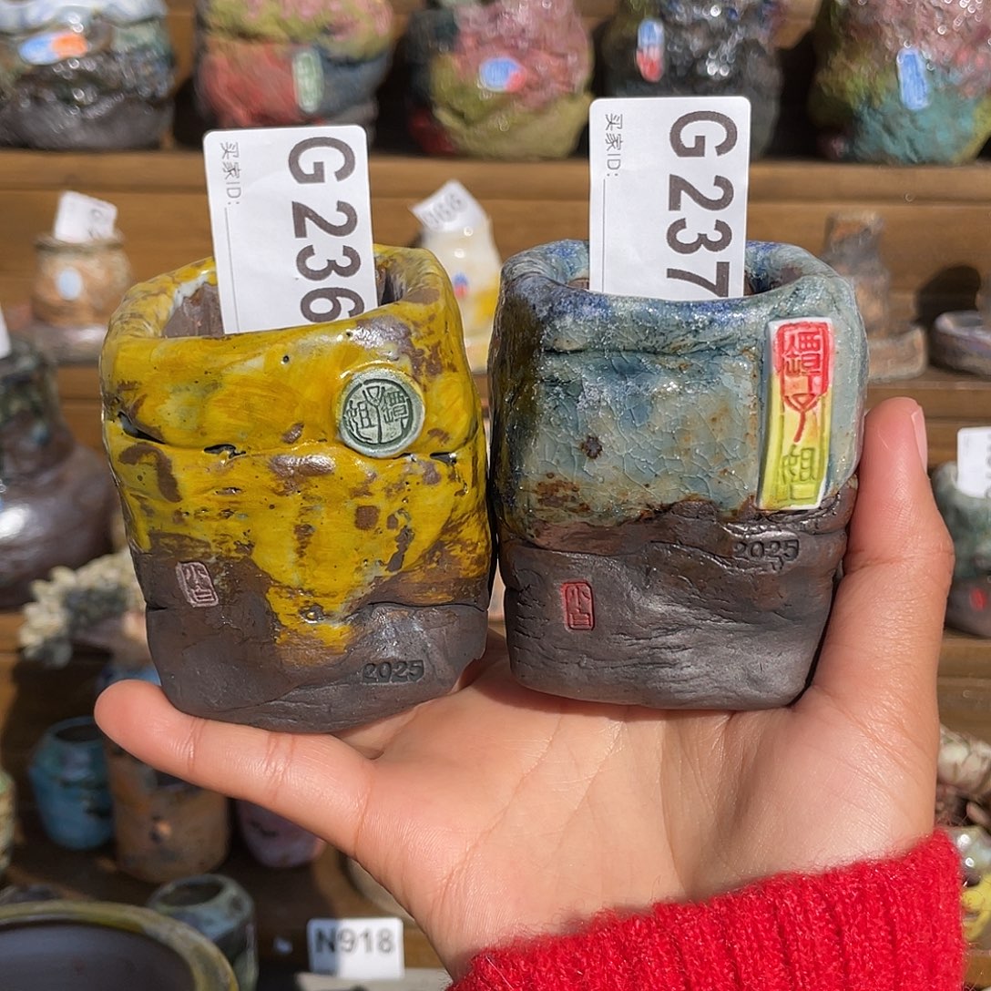 坛子姐花盆小白孤品 内口4.3