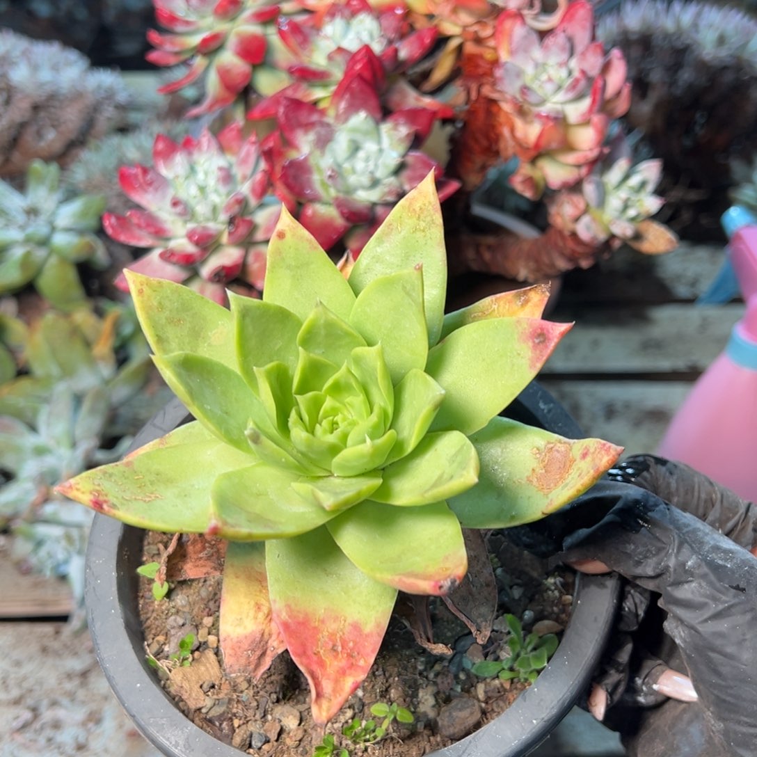 8776哈哈哈哈哈哈哈哈 