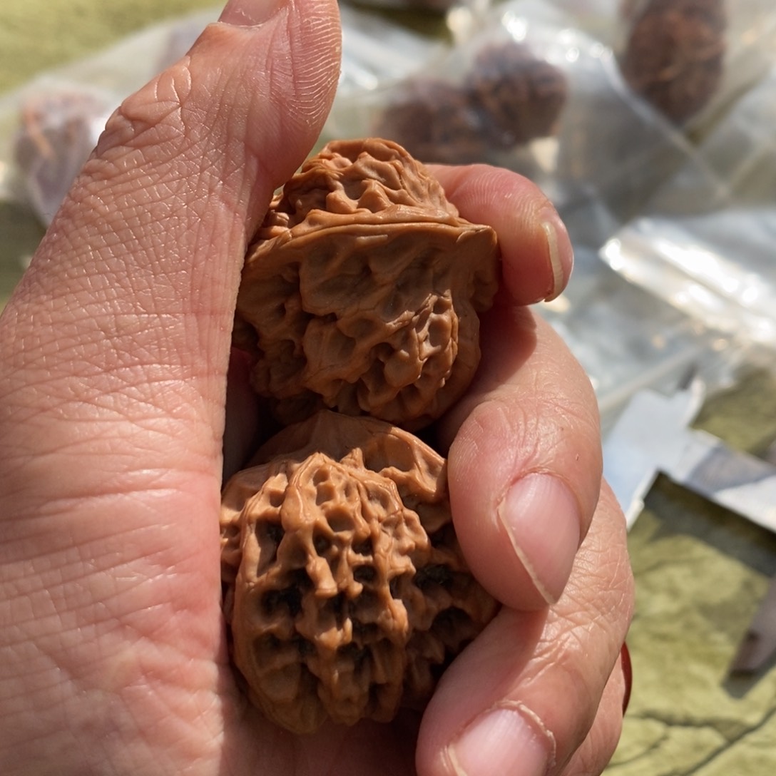 秦岭南北缘是个美丽风景