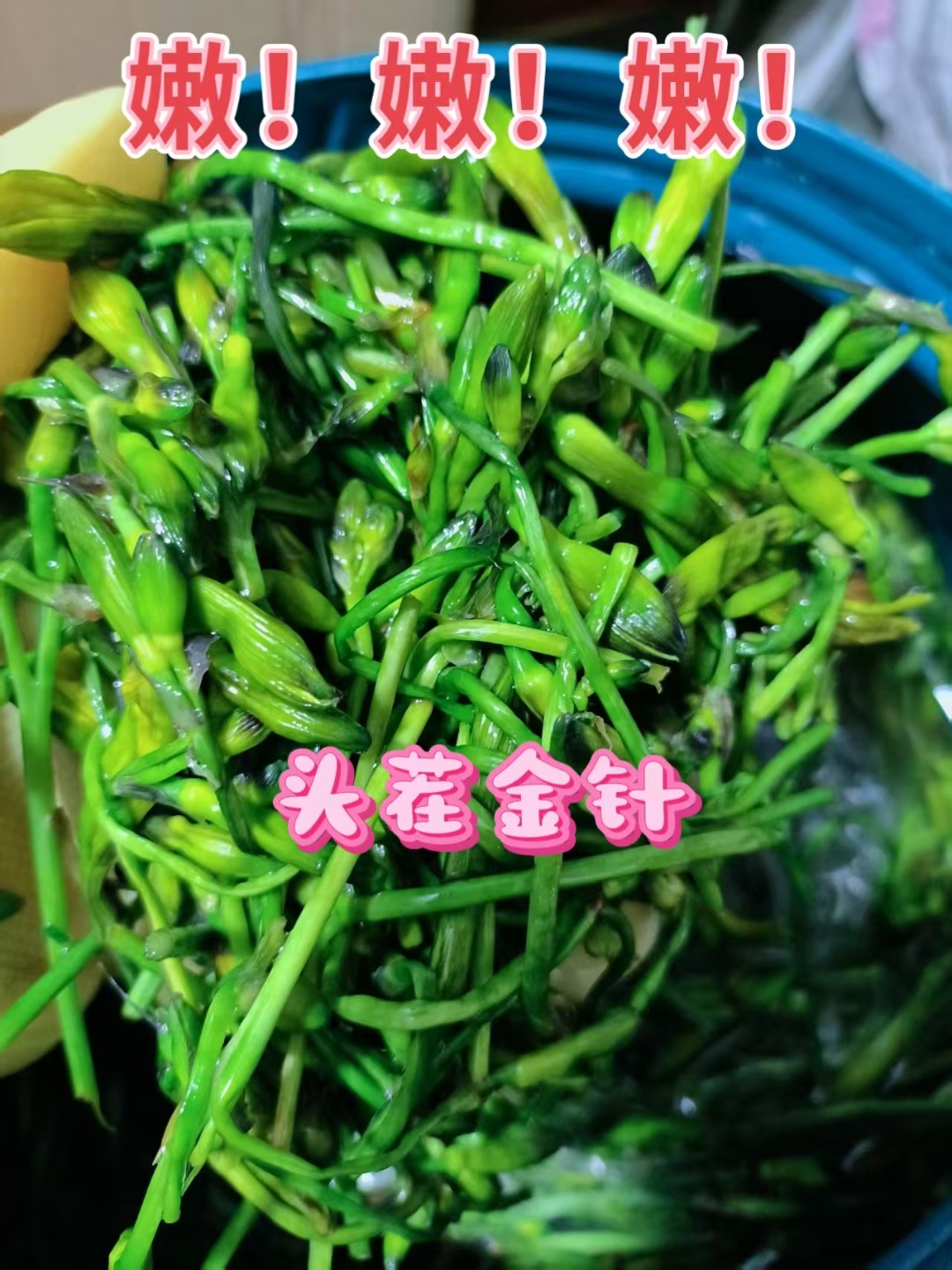 内蒙古桦木沟头茬咸金针黄花菜高原野生山野菜（包邮）
