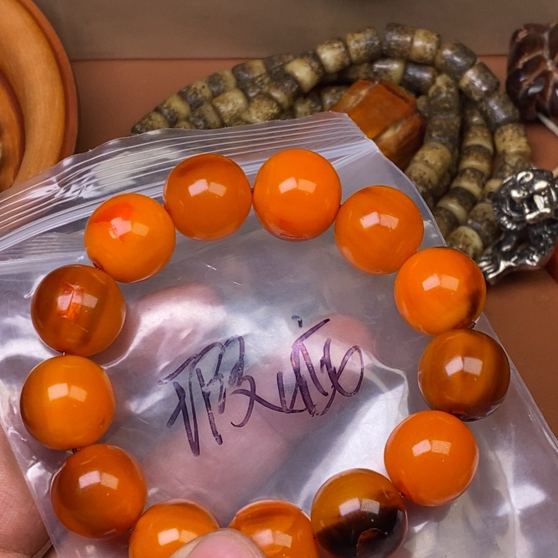 其他驼骨人工样子