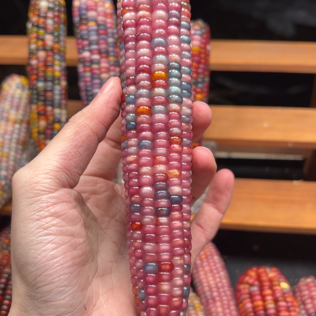 爱***2我我我我我我我额