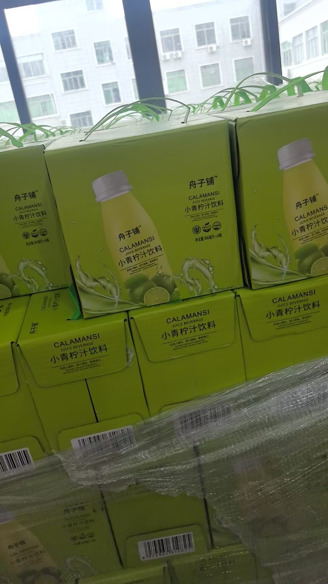 夏季小青柠汁饮料（6瓶装）