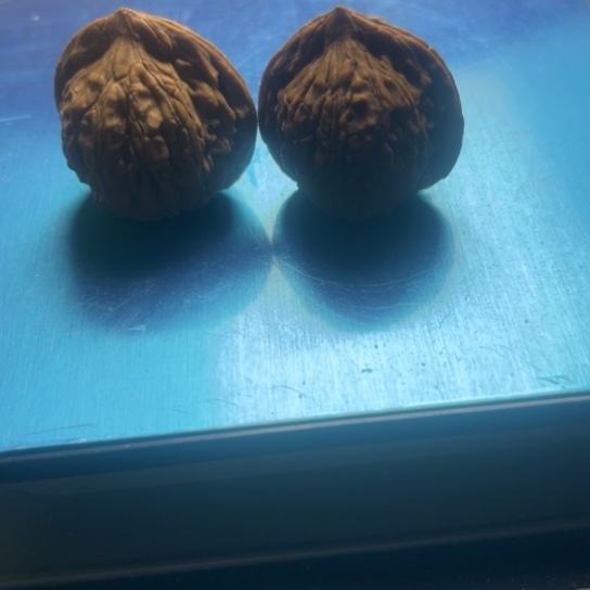 Z***️银S9251234567890