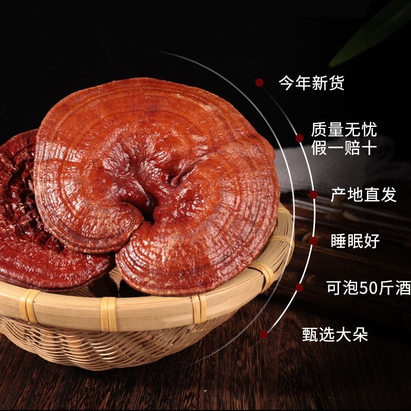 【本帅专属】长白山干货灵芝东北特产干货无添加无农残原产发货