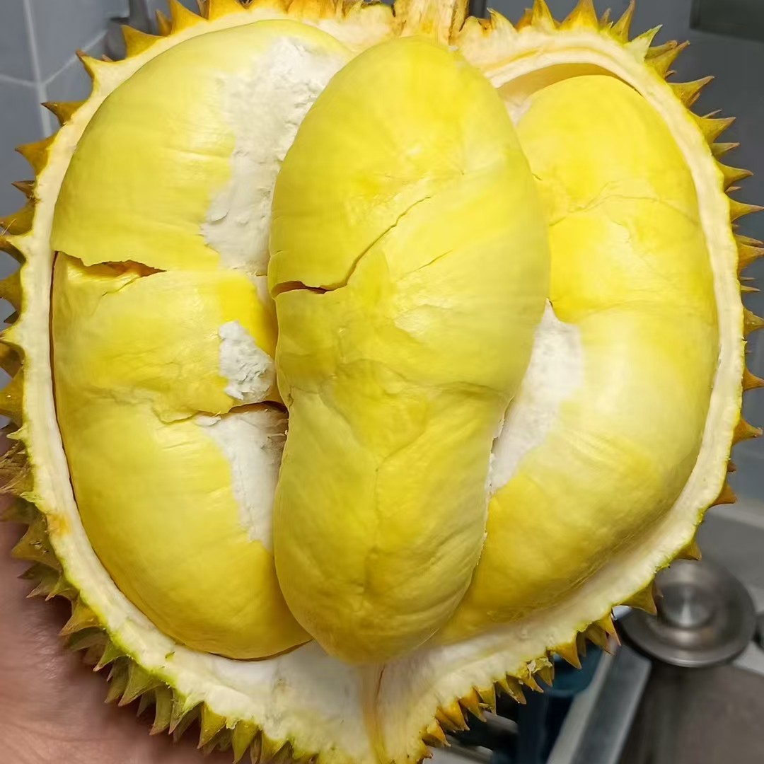 2号金枕鲜榴莲一个(一物一拍/一个约3-7斤)核小金枕泰国榴莲同城配金枕泰国