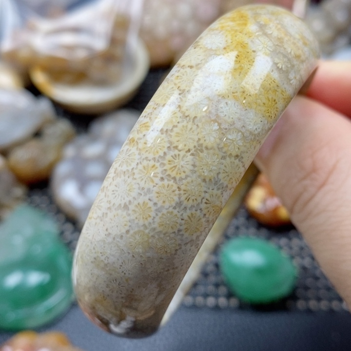 硅化珊瑚（珊瑚玉）颈饰未镶嵌56