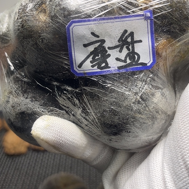 五***谱磨盘山地野生狮子头
