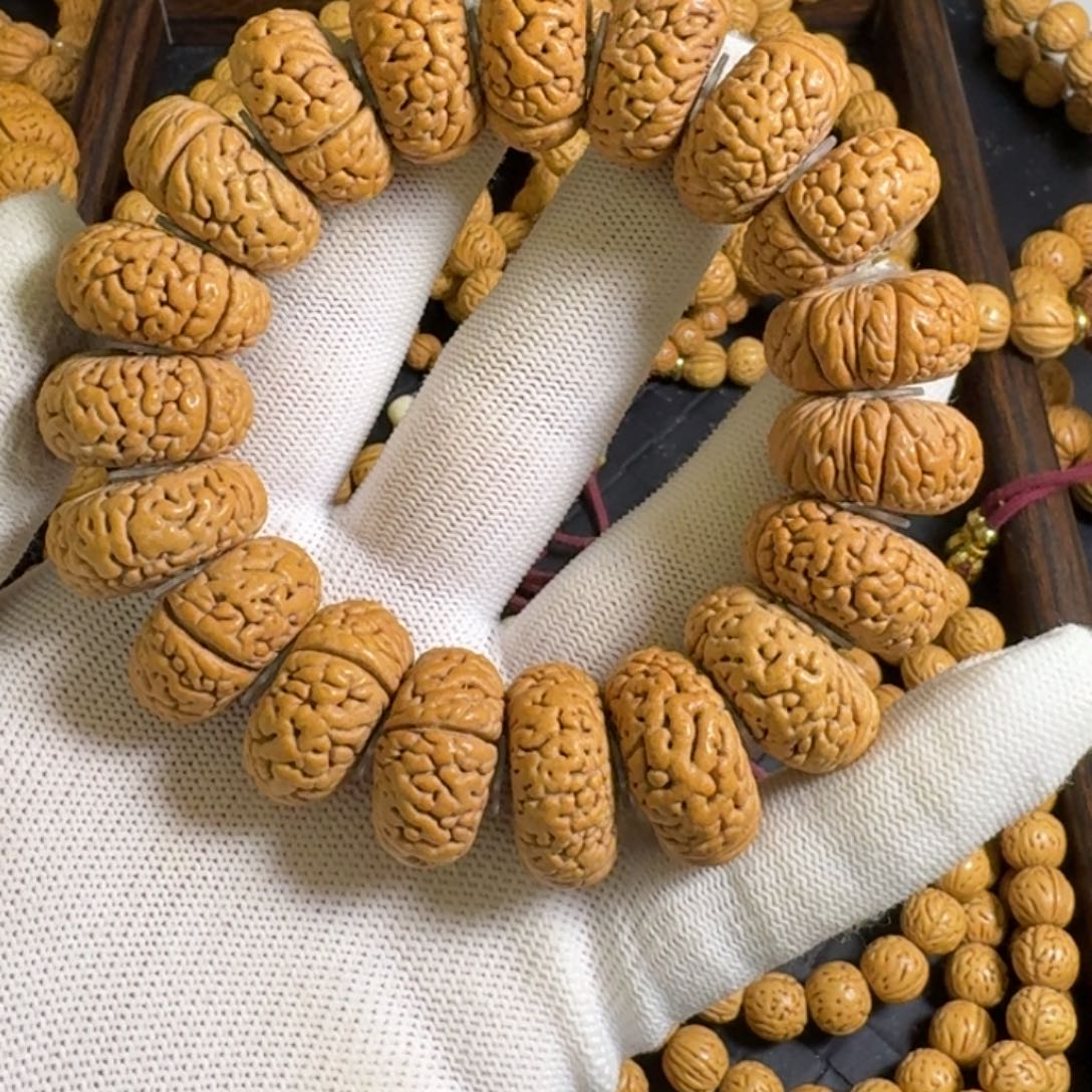 3号22.5尺寸龙鳞夹板