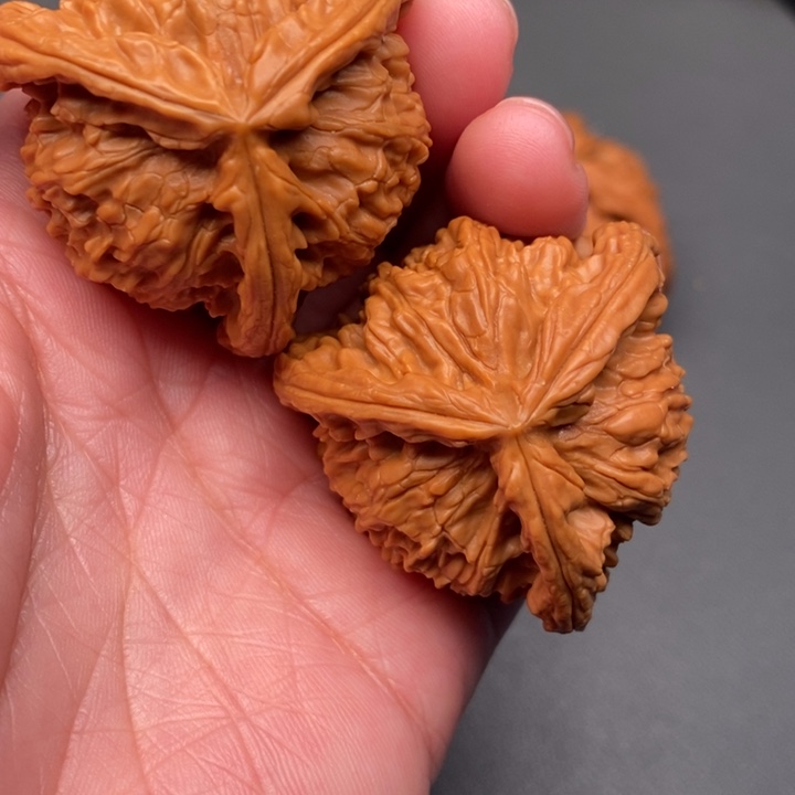 多***梦木质类核桃核桃核桃