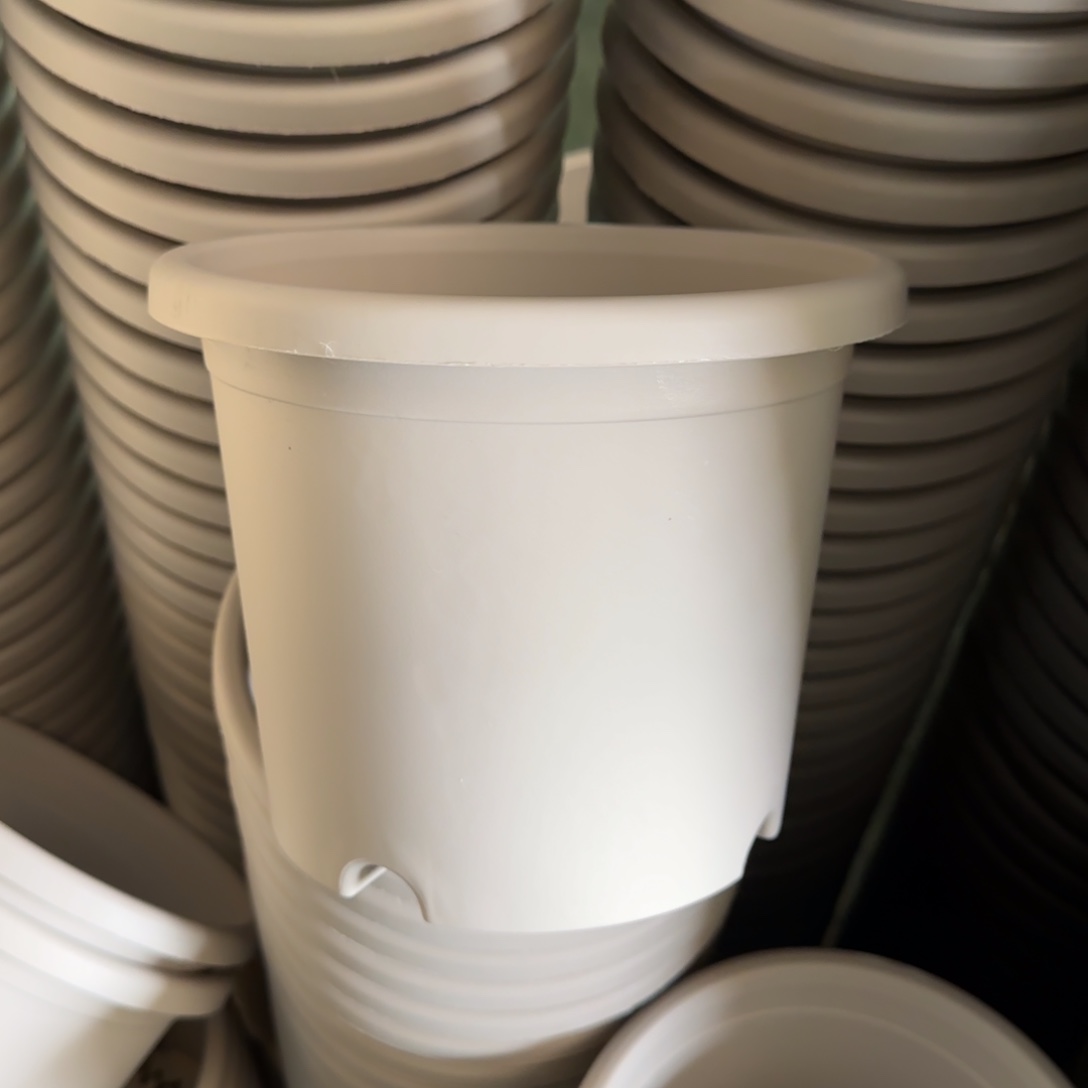 树脂特价3#无拖灰白10个