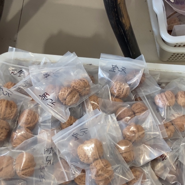 吊坠文玩核桃元宝瑕疵