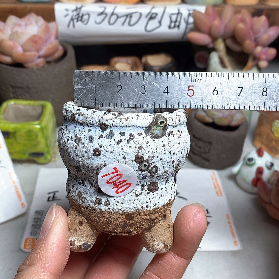 红陶拍5送一个小