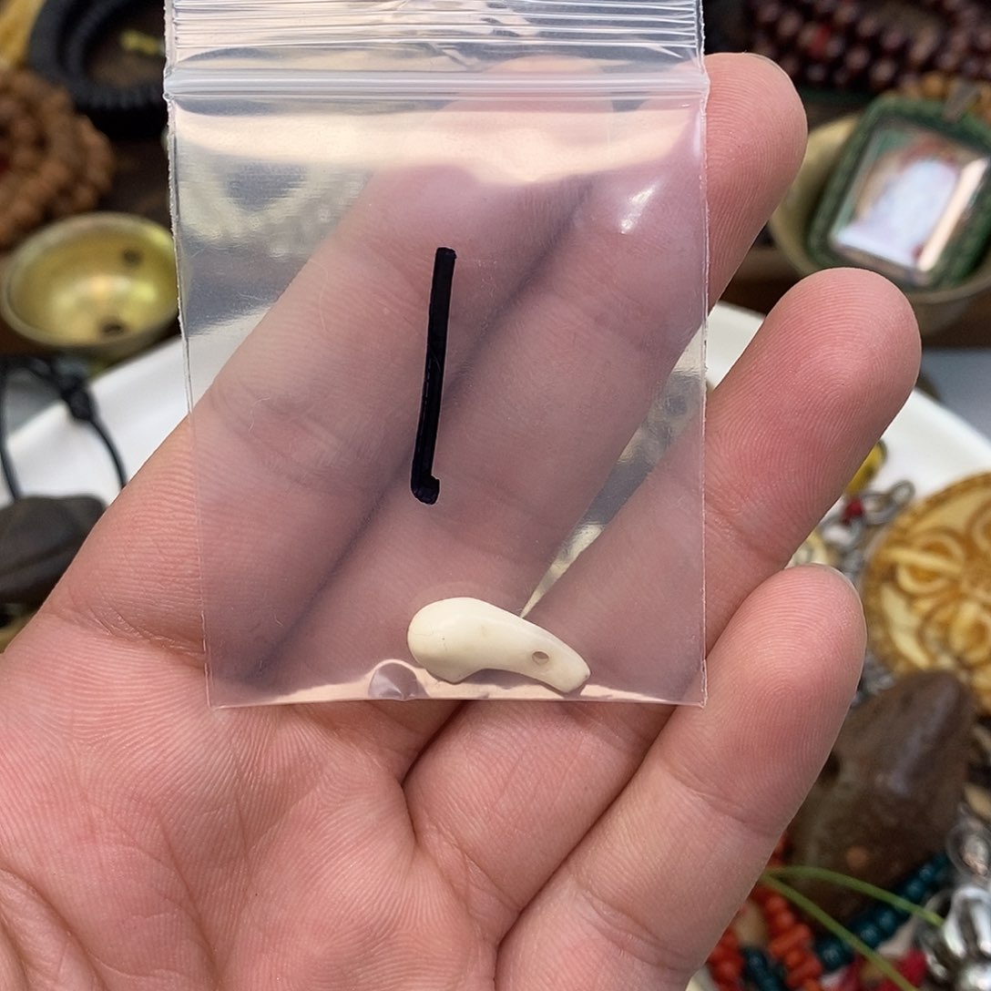 柏香籽/百香籽吊坠