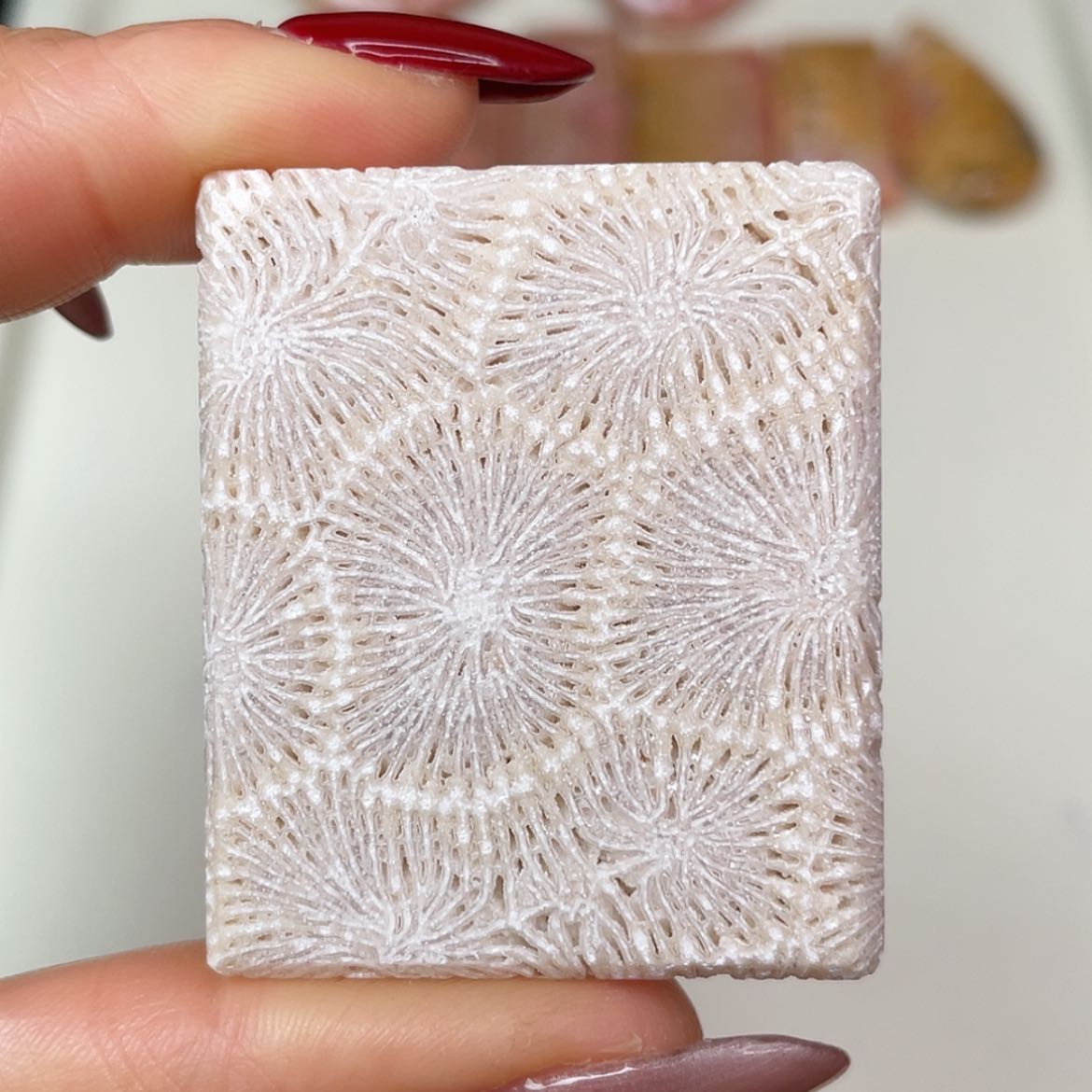 【闪购商品】未镶嵌吊坠(赠链)硅化玉